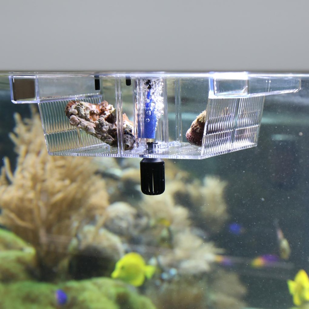 JBL Baby Home O2 kotnik dla ryb z napowietrzaniem i pompką.jpeg